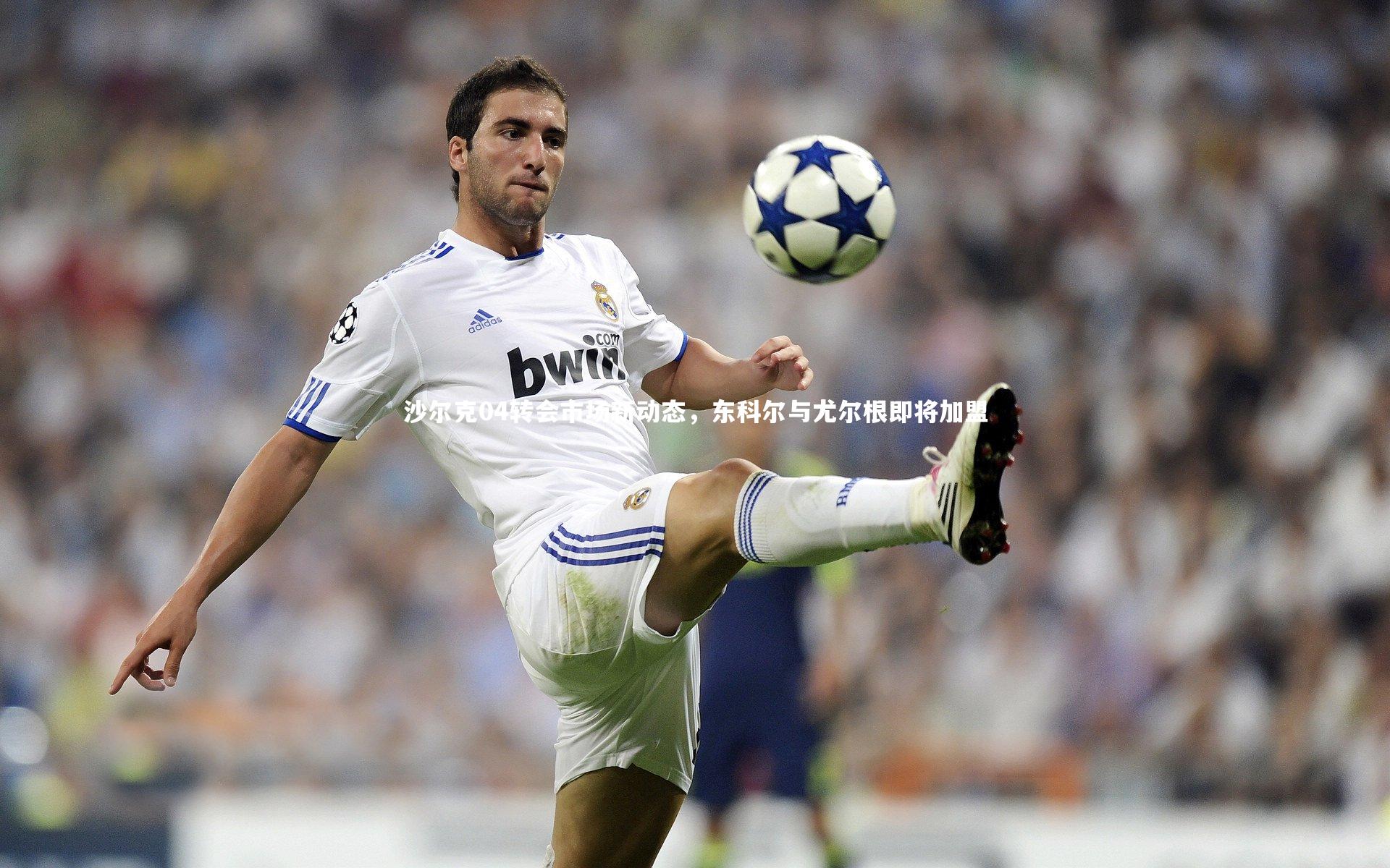 沙尔克04转会市场新动态，东科尔与尤尔根即将加盟